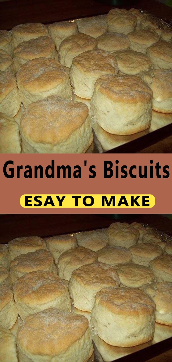 Grandma’s Biscuits - middleeastsector