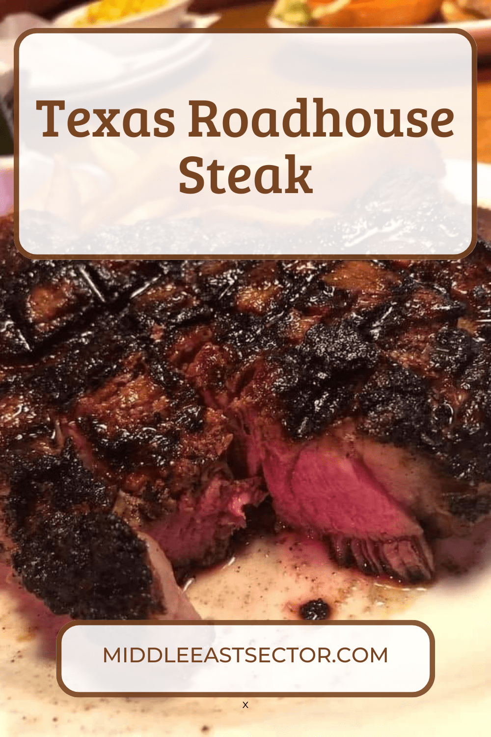 Texas Roadhouse Steak Seasoning Middleeastsector