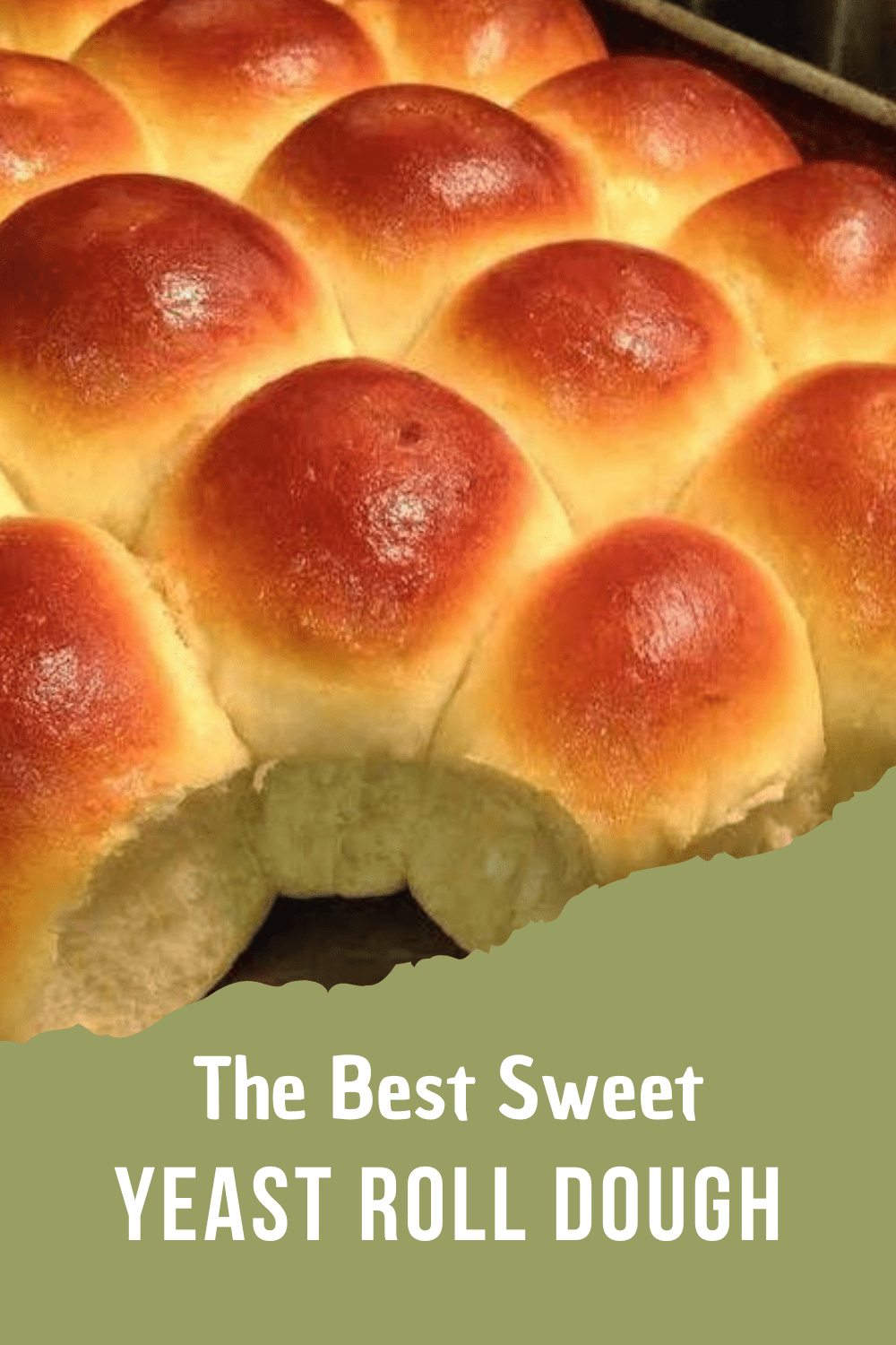 The Best Sweet Yeast Roll Dough