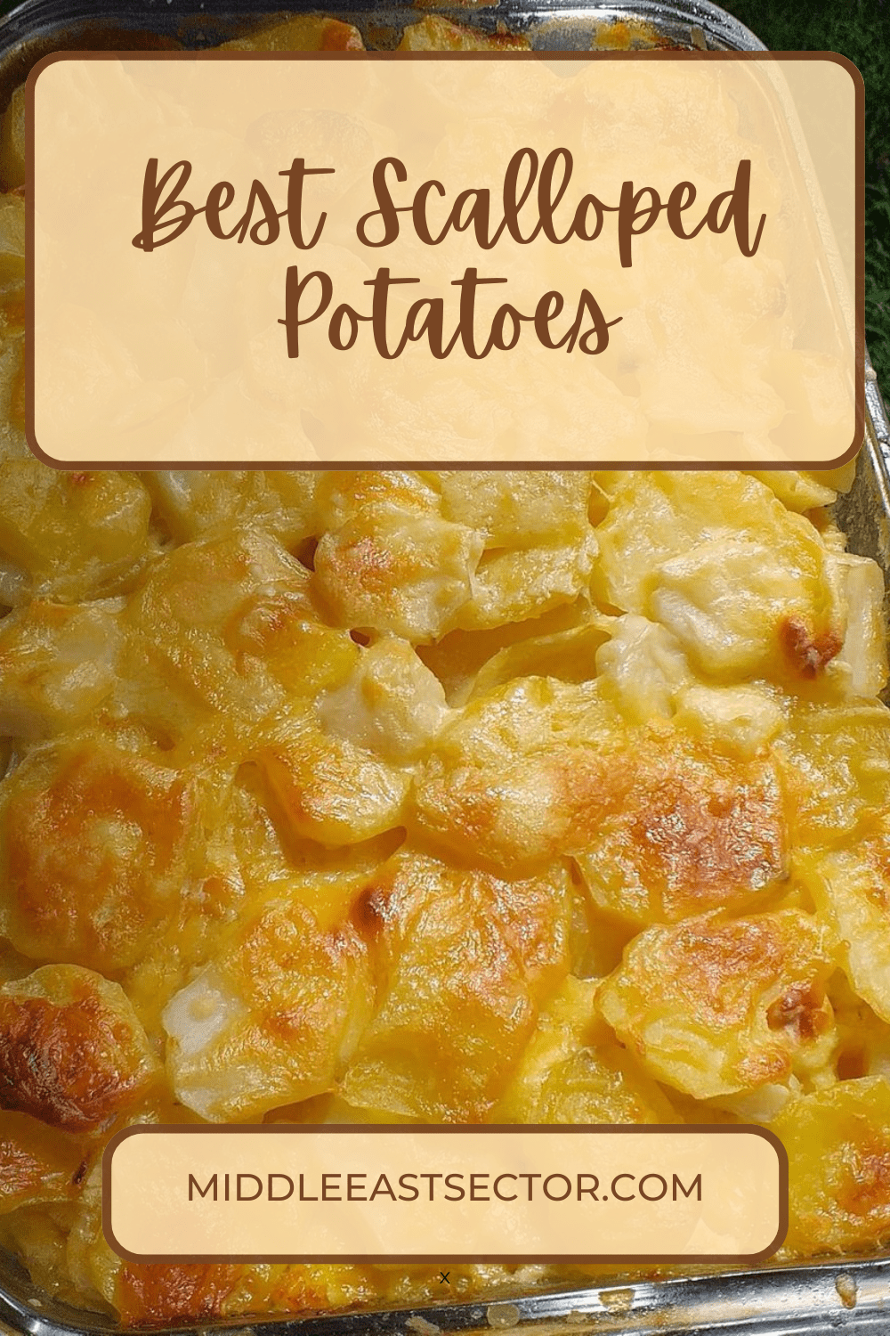 Best Scalloped Potatoes!!! - middleeastsector