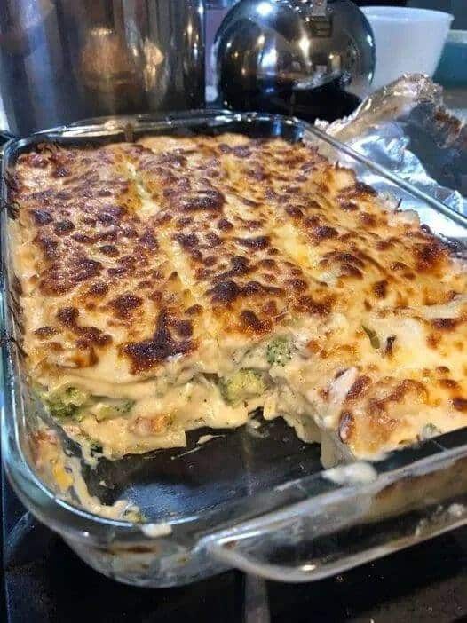 Chicken and Broccoli Lasagna Recipe!!!