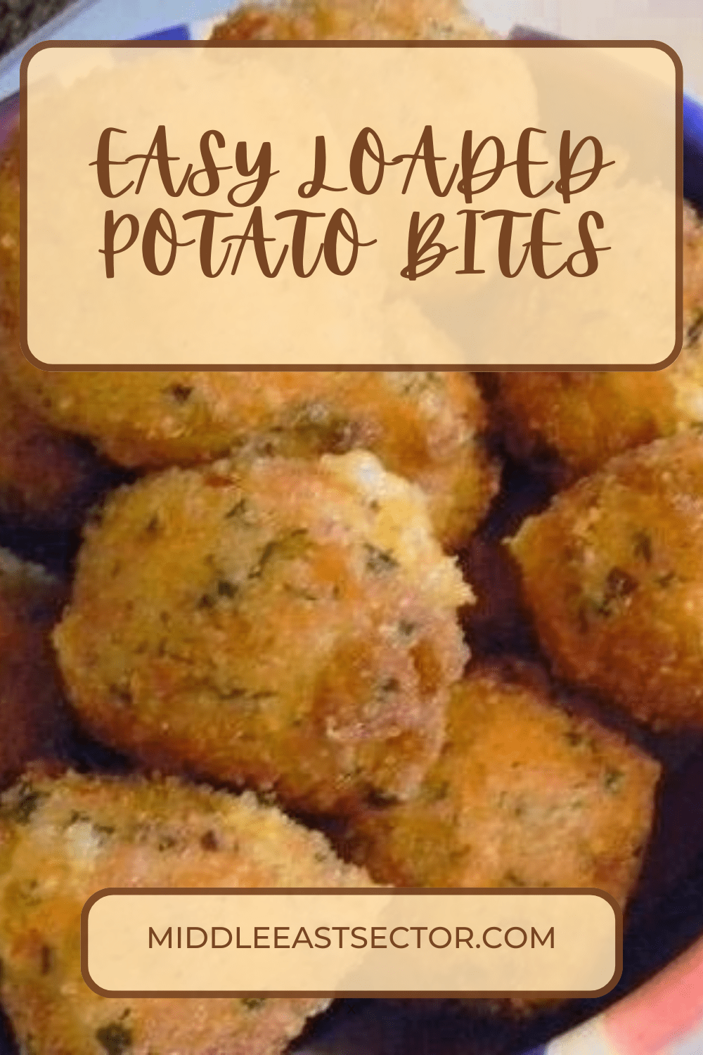 EASY LOADED POTATO BITES - middleeastsector