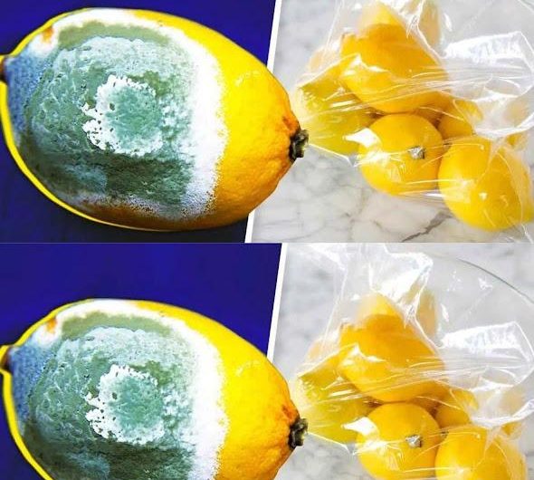 How to Store Lemons Longer to Prevent Them from Spoiling? 4 Simple Tricks