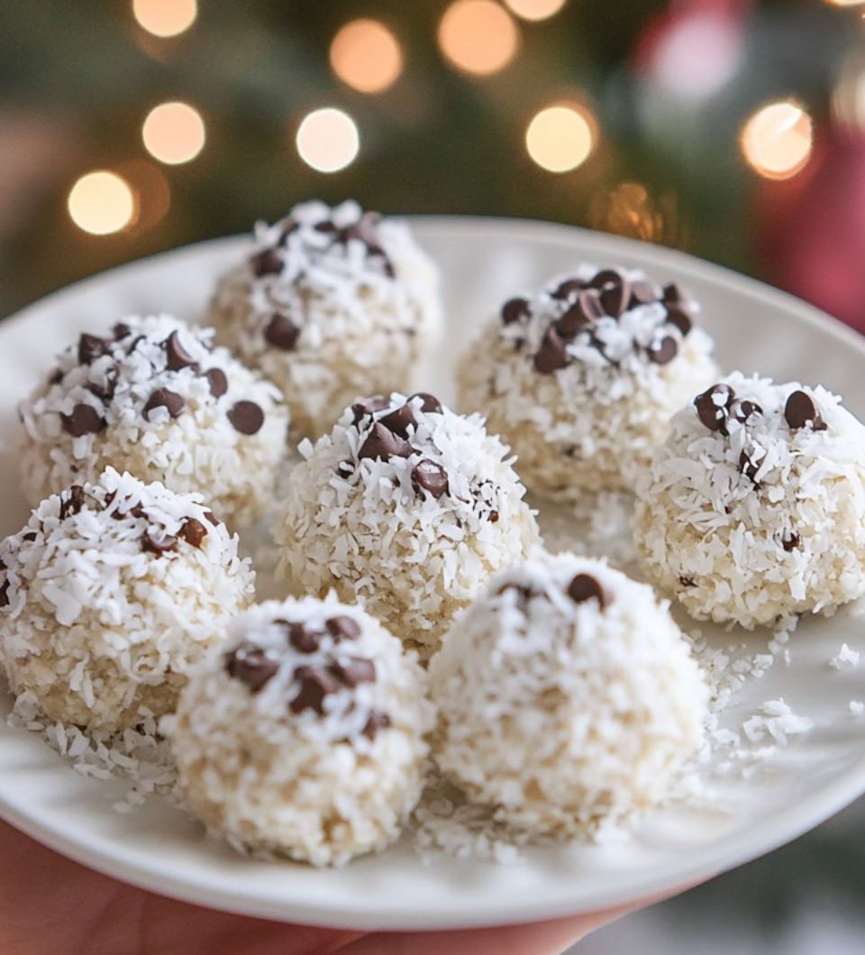 Coconut Grahams No-Bake Bites