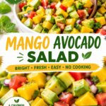 Mango Salad Recipe