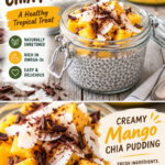 Chia Seed Pudding Recipe