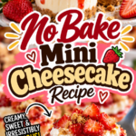 No Bake Mini Cheesecake Recipe