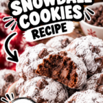Double Chocolate Snowball Cookies Recipe