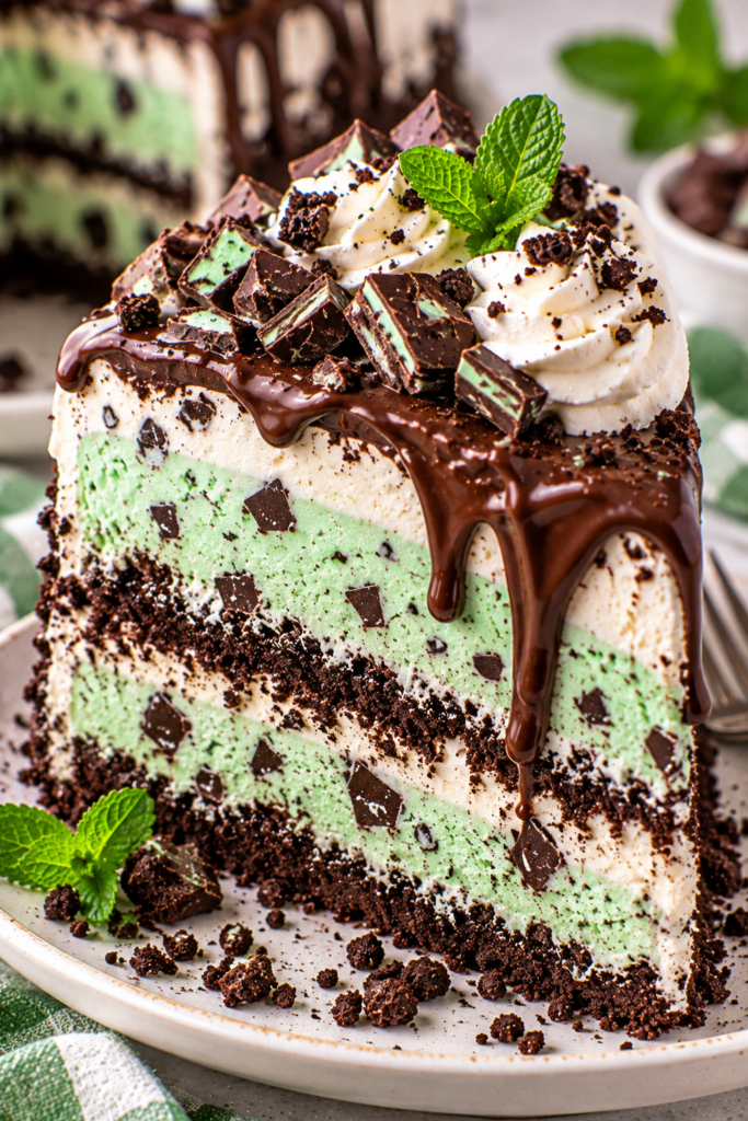 Mint Chocolate Chip Ice Cream Cake
