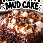 Old-Fashioned Mississippi Mud Cake
